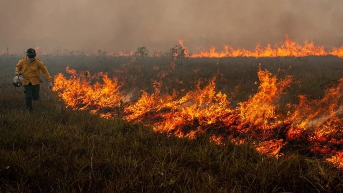 Brasil tem mais de 4 mil focos de incêndio em maio; Goiás registra 151