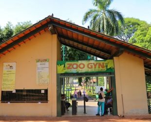 Zoológico de Goiânia após investigação descartar gripe aviária